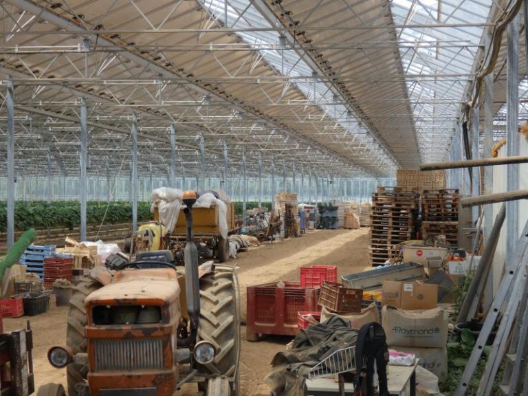 L’agriculteur Charentais - Des fruits, des légumes… et de l’électricité ...